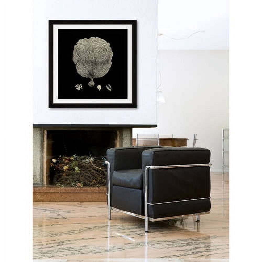 Marmont Hill "Black & Tan Coral II" Framed Painting Print