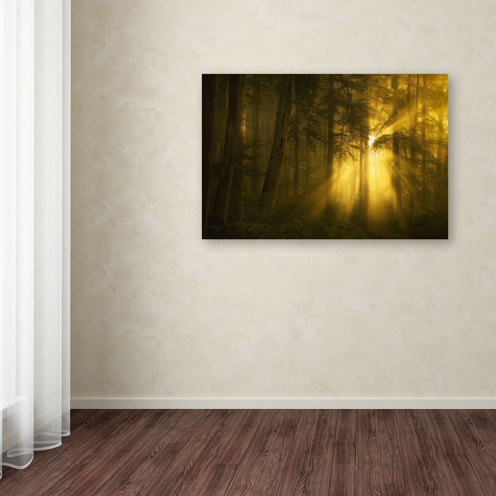 Norbert Maier 'Yellow' Canvas Art