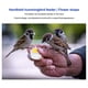 thumbnail image 2 of Comedero para pájaros salvajes comedero para pájaros de mano de colores brillantes forma de flor atractiva portátil para alimentar al aire libre ANGGREK  Otros, 2 of 7
