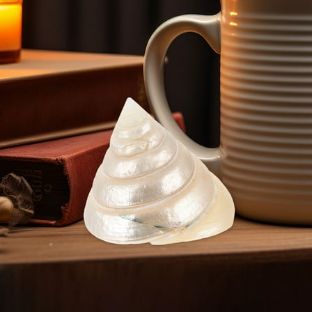 IBASETOY Desktop Shells Conch Decoration Beige 1Set Aquarium Decor Collectors