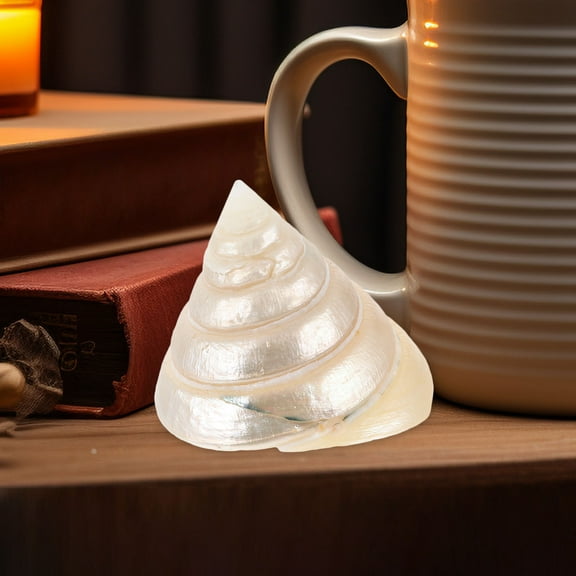 IBASETOY Desktop Shells Conch Decoration Beige 1Set Aquarium Decor Collectors