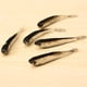 thumbnail image 2 of 10PCS 8cm Vivid Natural Grey Fake Fish Lure Bait Pequeño Bass Catfish Lure Fish Bait Abanopi Carnada de pez, 2 of 7