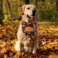 thumbnail image 2 of Thanksgiving Dog Bandana Fall Autumn Pet Bandana Reversible Triangle Bibs Scarf Accessories for Large and Extra Large Dogs Pets (X-Large, Thanksgiving), 2 of 6