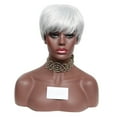 thumbnail image 7 of Pullover Toupee-Natural Short Grey White Wig Dress Costume Rose Net Synthetic Curly Wigs, Short Hair Wig with Side Bangs Fashionable Silver White, High Temperature Silkback to, 7 of 7