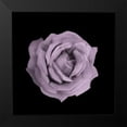 thumbnail image 2 of Allen, Kimberly 12x12 Black Modern Framed Museum Art Print Titled - Perfume Roses 3, 2 of 5