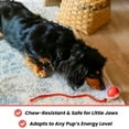 thumbnail image 2 of Tinyfetch Ball Dog Toy, Tinyfetch Interactive Motion Dog Cat Toys Balls,360°Smart Automatic Rolling Electric Dogs Ball Toy with Birdsong, Fast Moving Toy for Dog and Cat,Tough Chew Proof (2*Red), 2 of 6