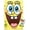 Premium Poster & Push Pin Bundle, variant on Nickelodeon Spongebob - Face Wall Poster with Push Pins, 14.725" x 22.375"
