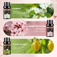 thumbnail image 4 of Aeshory Floral Essential Oils Set - Scented Oil for Diffusers, Massage, Candle Making, 6 x10 ml, 4 of 7