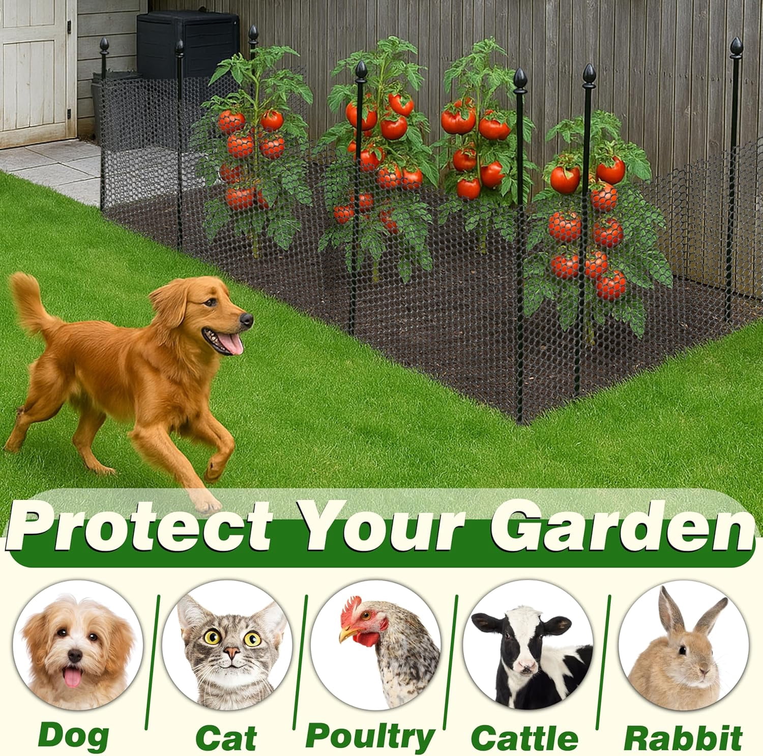 Gardzen 16in x 33ft Plastic Chicken Wire Mesh with 70 Pcs Zip Ties, 0.5in Hole Heavy-Duty Poultry Netting Garden Fence for Snow, Outdoor Barriers