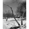 thumbnail image 2 of Winter landscape with church in the background Poster Print (18 x 24), 2 of 4