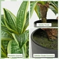 thumbnail image 2 of 11 Inch Artificial Snake Plants in Pots Fake Tropical Sansevieria Small Potted Plants Desk Table Top Decor 20 Leaves Fake Laurentii Indoor Outdoor Home Decor Trifasciata ‘Hahnii’, 2 of 6