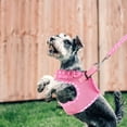 thumbnail image 5 of unbranded 1Jgo Arnés Rosa Para Mascotas Resistente Con Correa Ajustable Para Perros Y, 5 of 5