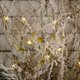thumbnail image 5 of Colgante De Ángel De Navidad Acrílico Transparente Pequeños Colgantes Colgantes Decoración De Árbol De Navidad Para Oficinas Hoteles Y Decoración De Escuelas Inevent HA038013-00, 5 of 6
