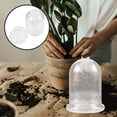 thumbnail image 6 of Ferencaa Glass Terrarium Glass Planter Vase Clear Plant Holder Moss Terrarium DIY -landscape Vase, 6 of 10