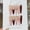 Cloud Powder Method [Fine Dog Tip], variant on [Cloud Powder Method] Sweet Girl Wind Powder French Hand-painted Cherry Bow Sticker Diamond Wear Armor