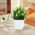 thumbnail image 6 of Aodebiao summer flower Small Fake Plants in Pot Artificial Plant Eucalyptus Faux Potted Greenery Wheal Grass for Home Decor Indoor Bathroom Office Desk Shelf Bedroom Kitchen Cabinet Decorations, 6 of 6
