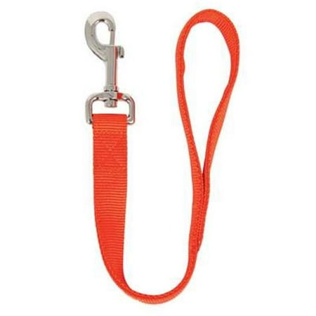 Petmate 223204 1 x 60 in. Ruffwear Nylon Dog Leash, Orange | Walmart Canada