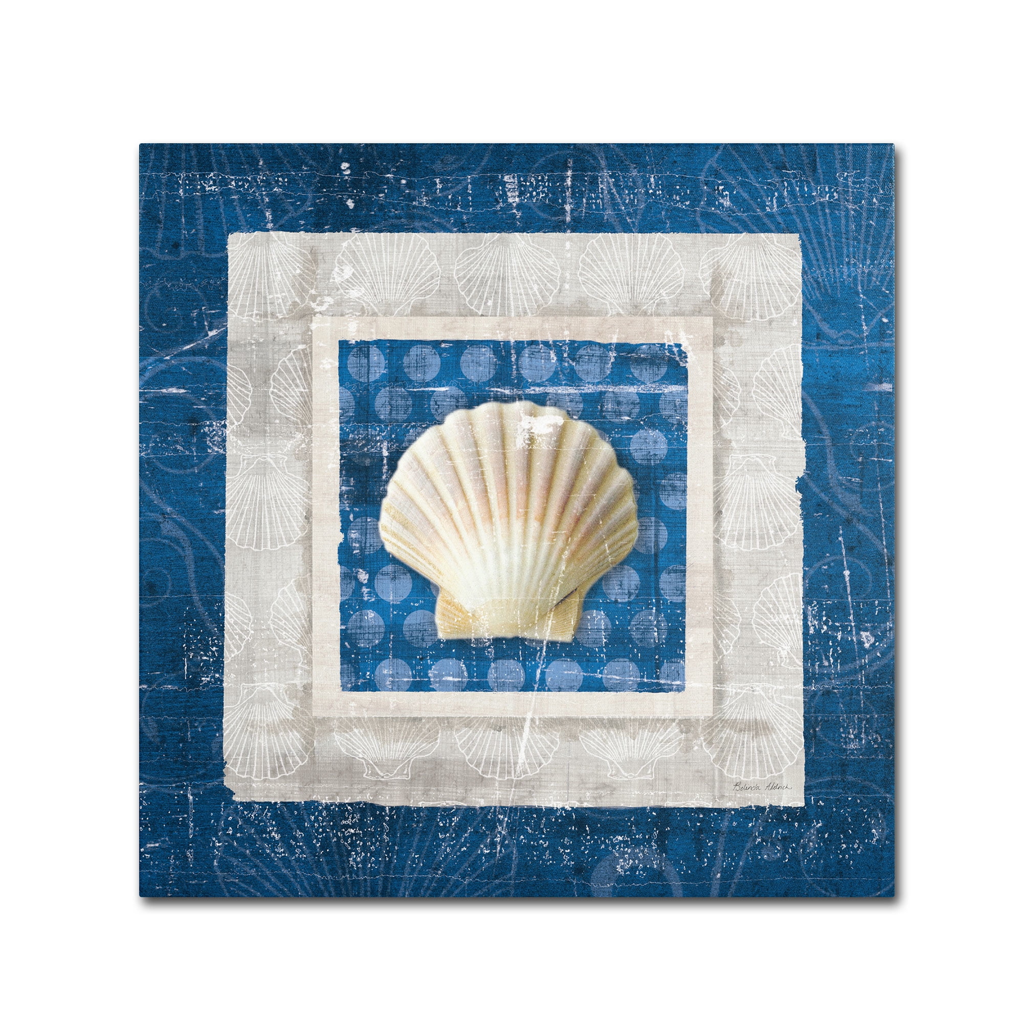 Trademark Fine Art "Sea Shell III on Blue" Canvas Art by Belinda Aldrich