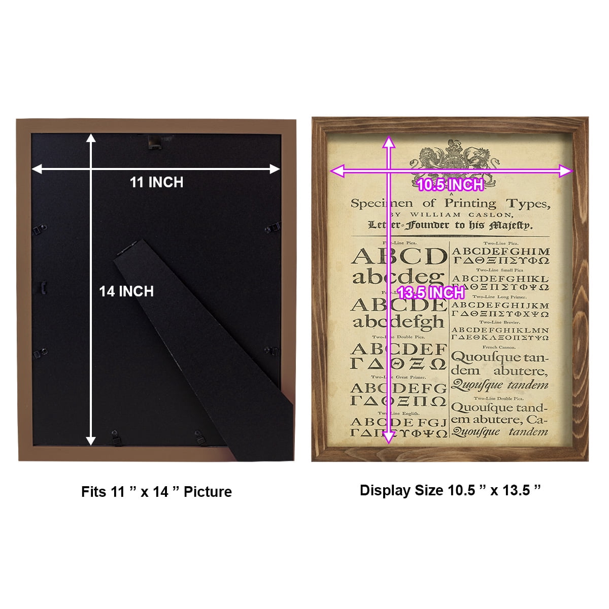 Encyclopediae VI -Framed Print w/glass-Walnut
