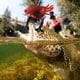 thumbnail image 4 of Cebo de cangrejo mecedora 3D, cebo falso para pesca, señuelo de cangrejo para pesca en agua salada, 4 of 9