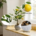 thumbnail image 5 of TOARTi Lemon Bonsai Tree Fake Fruit Citrus Plant With Plastic Pot For Home Office Indoor Tabletop Desk Kitchen Living Room 35x45 cm, 5 of 11