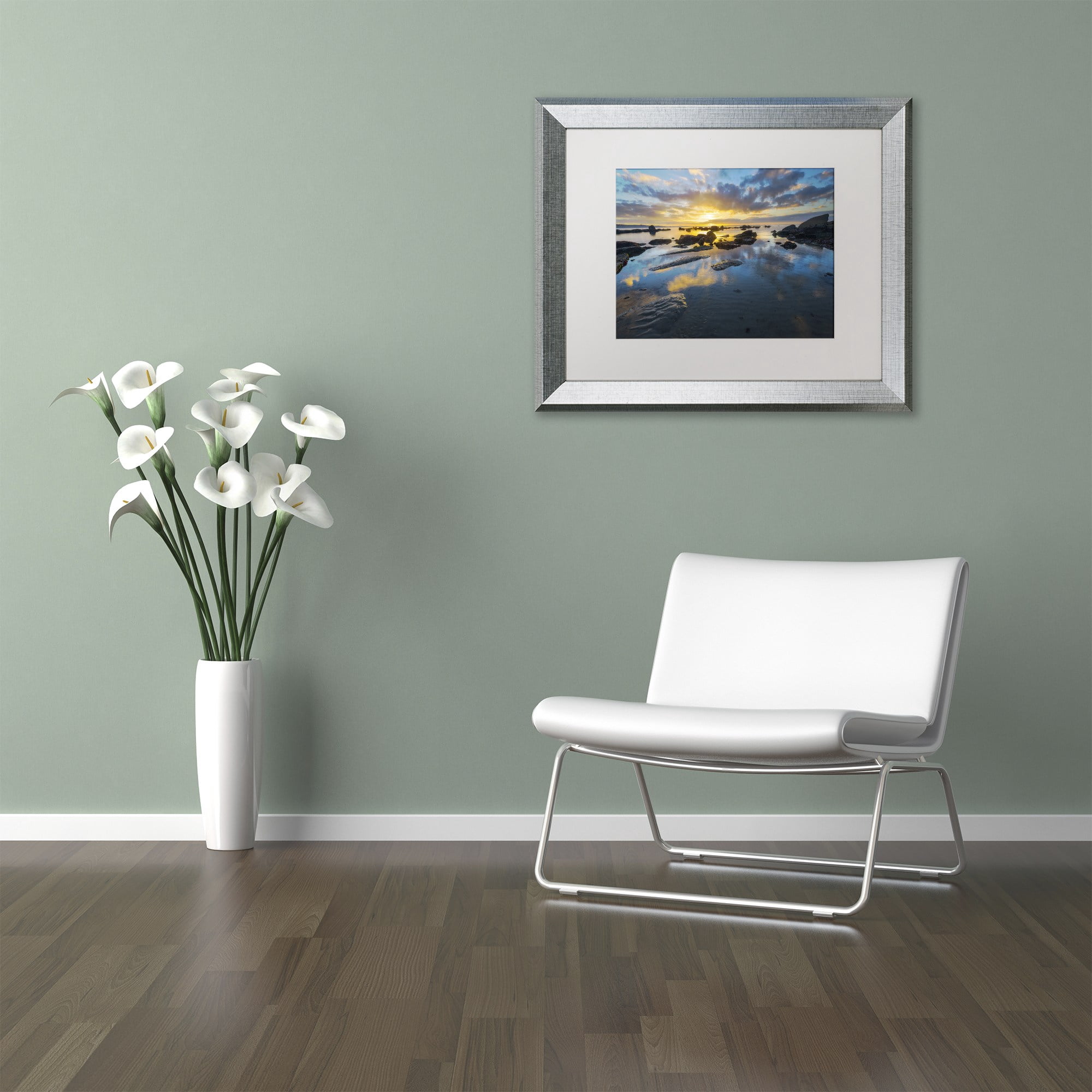 Trademark Fine Art "Nature's Gift" Canvas Art by Mathieu Rivrin, White Matte, Silver Frame