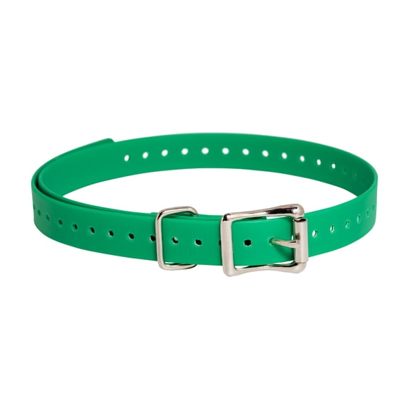 SportDOG 3/4 in Collar Strap, Green | Extra, Replacement Waterproof Strap for SportDOG Brand e-collars, Fits Necks 5-22 in