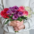 10 Head Artificial Silk Fowers Carnation Bunch Wedding Home Outdoor 10-head-artificial-silk-fowers-carnation-bunch-wedding-home-outdoor