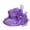 Purple, variant on D-GROEE Women’s Mesh Tea Party Wedding Fascinator Hat UV-Anti Wide Brim Sun Hats Sunscreen Flower Decor Beach Hat