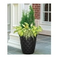 thumbnail image 1 of Suncast Pinehurst 14.2 in. H x 16.2 in. W Black Resin Planter, 1 of 2