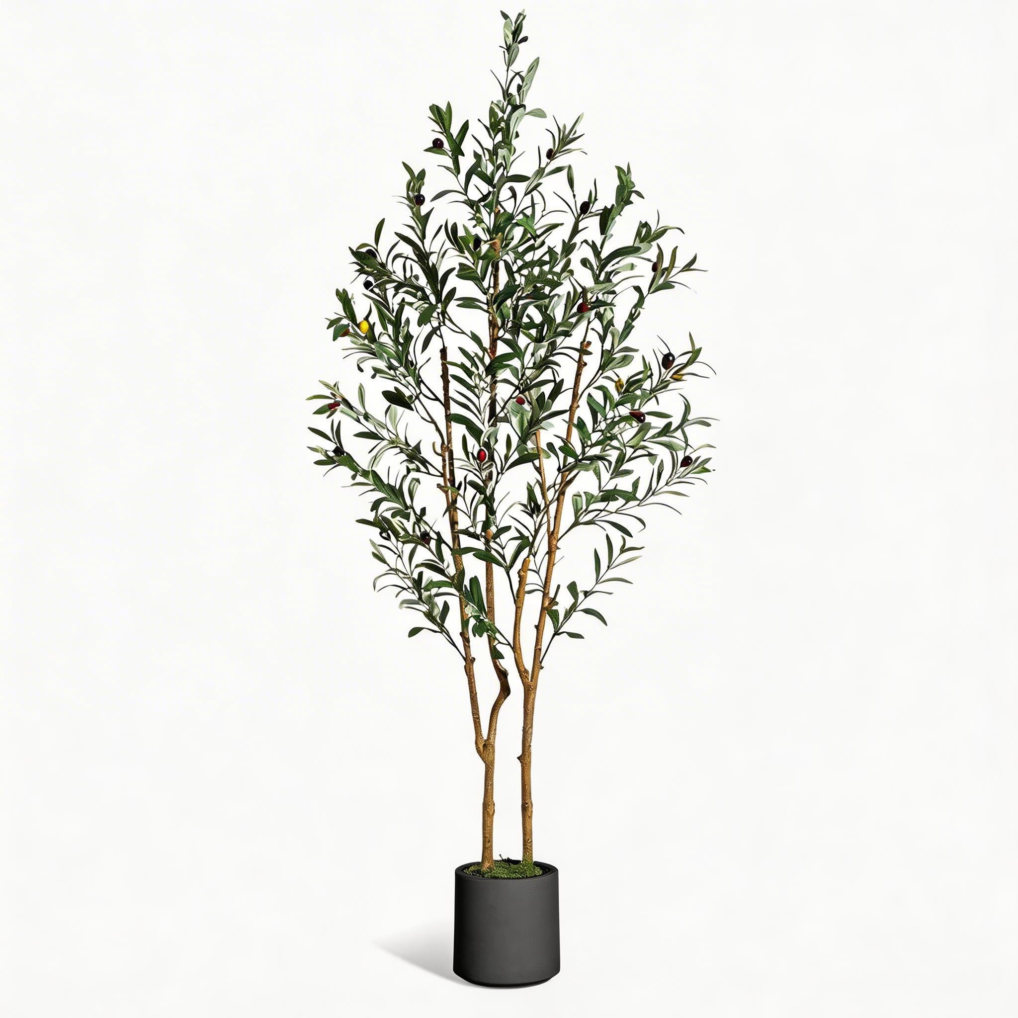 Artificial Olive Tree for Indoor Decor, Faux Olive Plant with Natural Wood Trunk, Planter & Green Moss, Lifelike Fake Tree for Home or Office Display