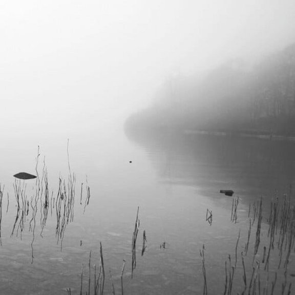 Dakota Suite - This River Only Brings Poison - Music & Performance - Vinyl