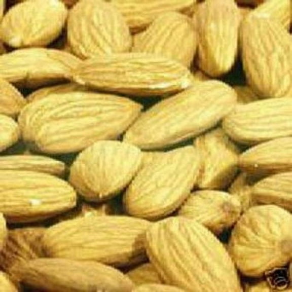 Bakers Select Almond,Sliver Raw , 5 Pound -- 1 Case