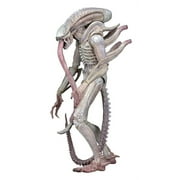 Aliens 7" Scale Action Figure: Concept Albino Alien