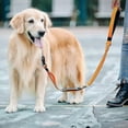 thumbnail image 3 of Heavy Duty Dog Leash For Large Dogs Up To 40kg, Reflective Bungee Leash, 3 of 4