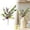 C, variant on Z52LingLing Decoration Spring/Summer Artificial Daisy Spray (Pink) – Set of 3 Decorative Stems
