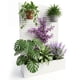 thumbnail image 1 of Yeshouse macetero metálico elevado con enrejado y pantalla de privacidad, 181 x 119 x 41 cm, fabricado en metal galvanizado con orificios de drenaje, ideal para plantas trepadoras, flores y hortalizas, 1 of 8