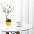thumbnail image 5 of Raindrops Pot for Succulents Cement 1Pcs in Rustic Style for Home Decor, 5 of 6