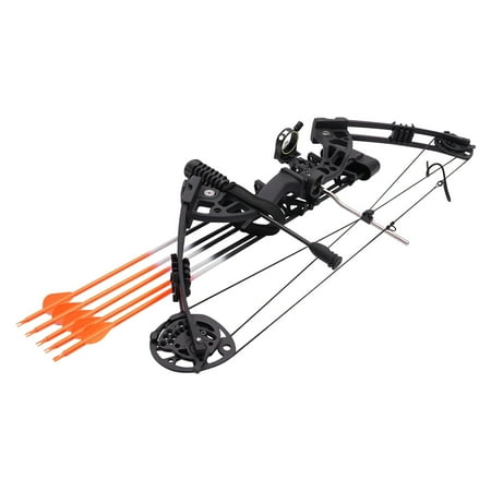 30-60lbs 280-320FPS Adult Compound Bow Kit Archery Hunting Shooting W/ 12 Arrows