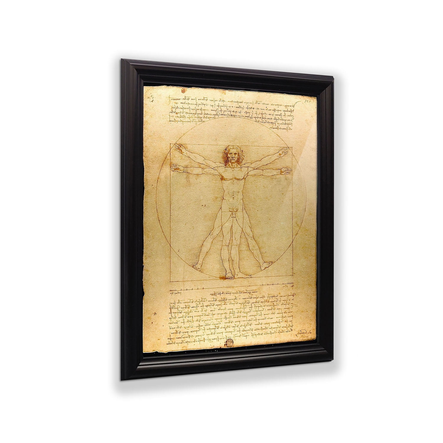 The Vitruvian Man Leonardo Da Vinci, World Famous Wall Art Collection