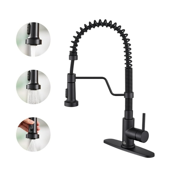 CASAINC Single Handle Kitchen Faucet with Pull Out Sprayer, Deck Mounted, Matte Black