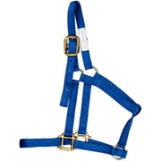 Heartland Horse Gear Large Value Classic Halter