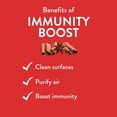 thumbnail image 2 of Mezcla de aceites esenciales Revive Immunity Boost 30 ml puro, 2 of 4
