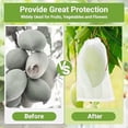 thumbnail image 2 of Fruit Protection Bags for Fruit Trees, 50pcs 6x10 Inch Nylon Mesh Garden Netting Bags Against Bugs Birds Squirrels, Cover Plants Flowers, 2 of 7