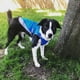 thumbnail image 4 of Chaleco refrigerante para perros. Chaqueta ligera con tecnología de microfibra fría evaporativa, camiseta con protección UV, talla pequeña y mediana (L, azul), 4 of 5