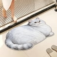 thumbnail image 4 of Roiihwy Cat Bath Rug - Cute Bath Mat,Soft and Fluffy Round Bath Rugs,Non-Slip Absorbent Bath Mats,Cat Bathroom Mats for Bathroom,Kid Room,Bedroom, 4 of 6