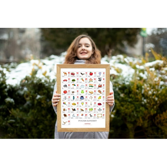 PUNJABI Alphabet POSTER Print With Words And English Translations (16 x 20 inches)