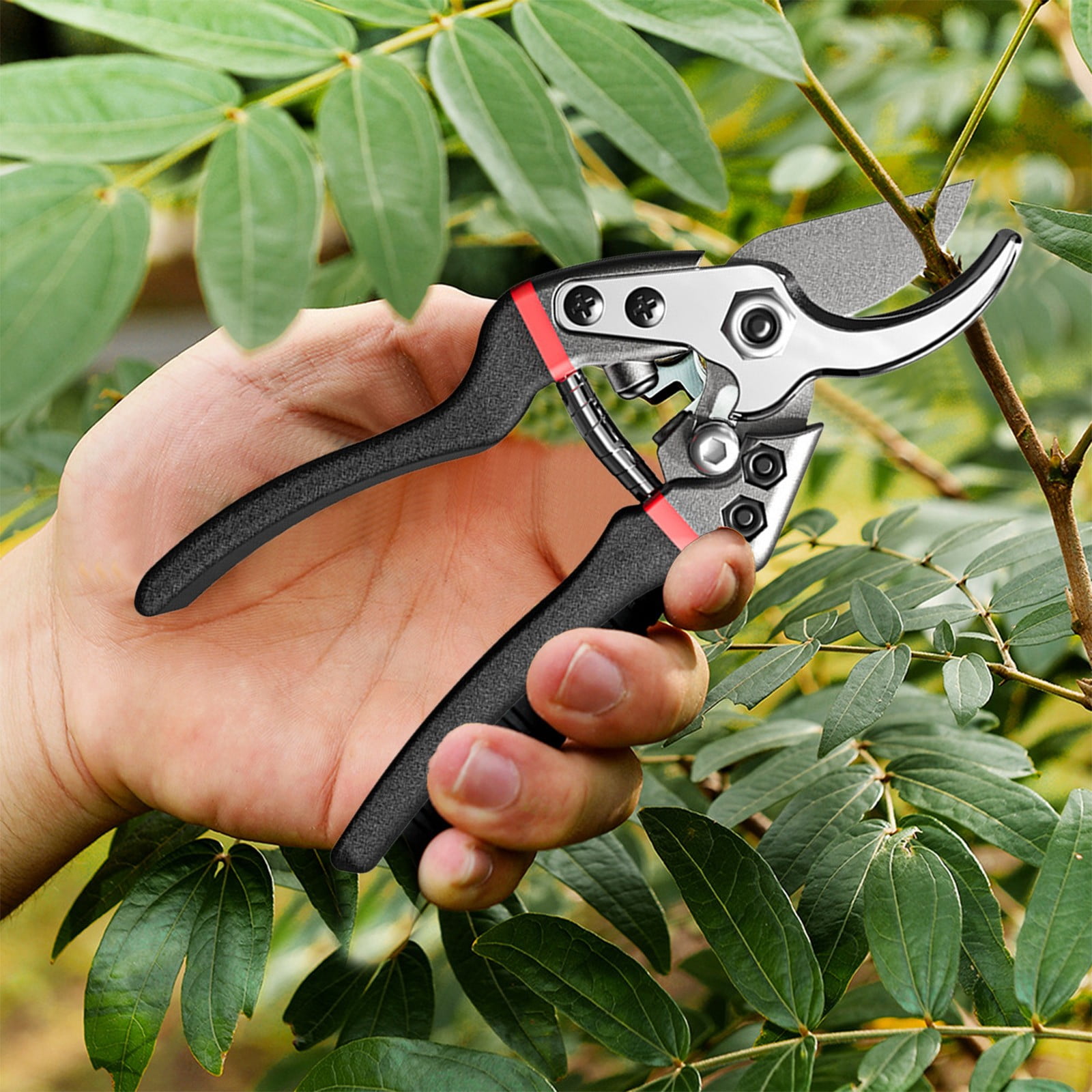 PEONAVET Stainless Steel Pruning Shears Capacity Of The Antirust Oil 10ml Pruning and Gardening Scissors Made Of Superior Stainless Steel for Garden Potting and Trimming