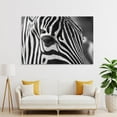 thumbnail image 4 of Zebra Head Zoom Canvas Art Poster And Wall Art Picture Print Modern Family Bedroom Decor Posters,Unframe-style,08x12inch(20x30cm), 4 of 8