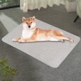 thumbnail image 5 of Ganfancp Summer Pet Ice Silk Mat Cats Bed Sofa Mat Summer Dog Cool Mat Cool Mat Tamaño 27.55X19.68 In Ofertas Del Día 1* Alfombrilla para Mascotas, 5 of 5